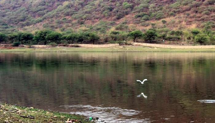 Tiger Lake, things to do in Udaipur