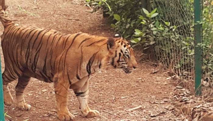 Sanjay Gandhi National Park, places to visit in Mumbai