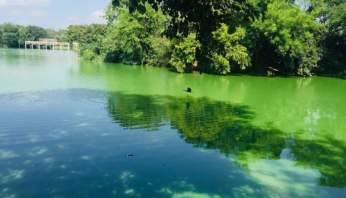 Tilyar Lake- romantic places in Delhi