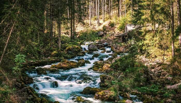 Picturesque river landscape.