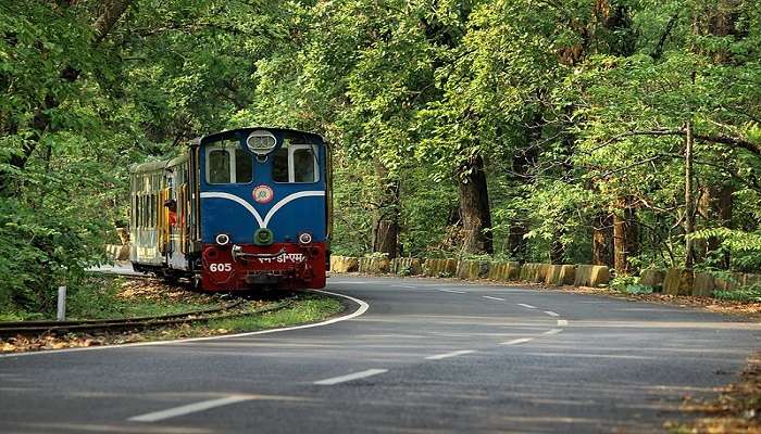 Toy Train, the heritage of Darjeeling.