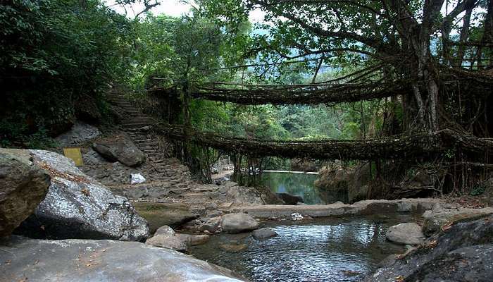 Trekking