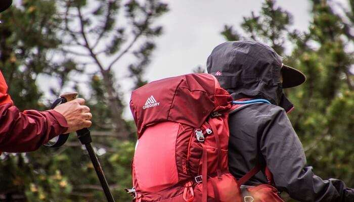 Adventure sports in Munnar, trekking through tea plantations and hills