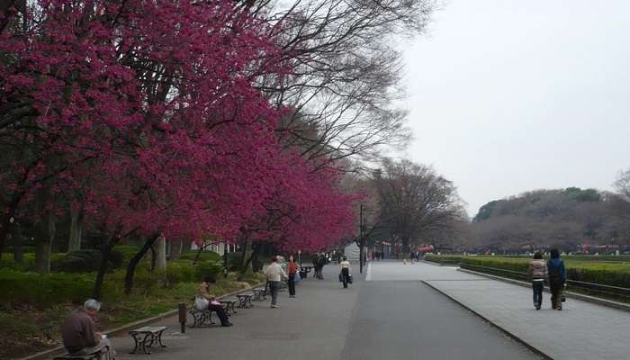 Ueno Park among the best places to visit in Japan