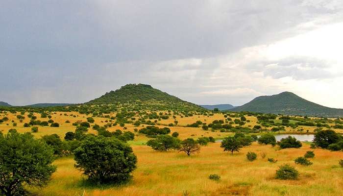 The KwaZulu-Natal midlands is an inland area of KwaZulu-Natal, South Africa