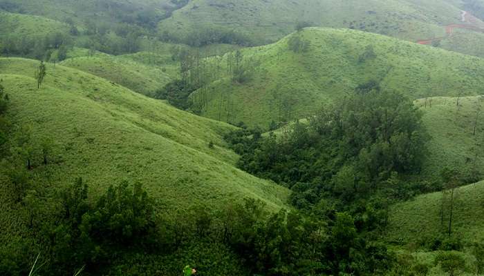 Vagamon hills