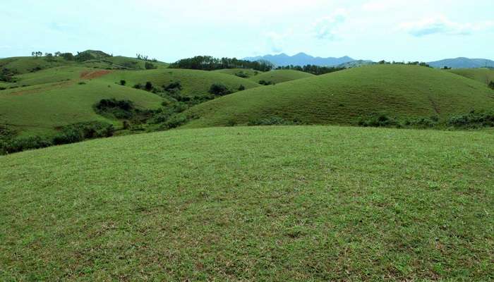 Vagamon Meadows, places to visit in Vagamon