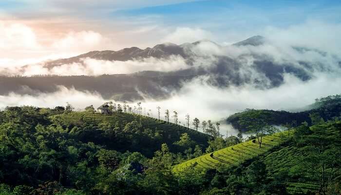The beauty of Vagamon captured by a famous photographer