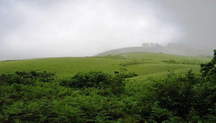 Vagamon—The View that Soothes the Heart