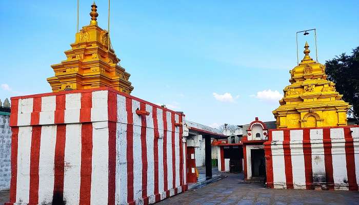 A charming view of Vaidyanath temple