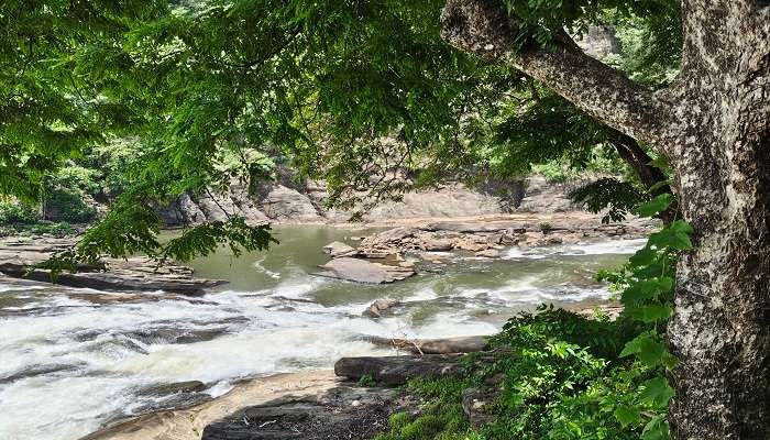 The popular waterfalls look aesthetic and clean, unlike any others.