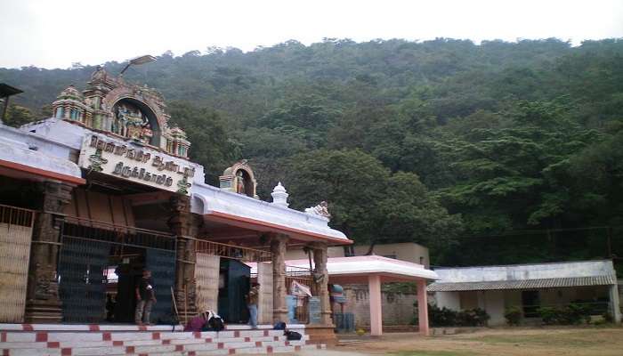 visit this on the Velliangiri Hill