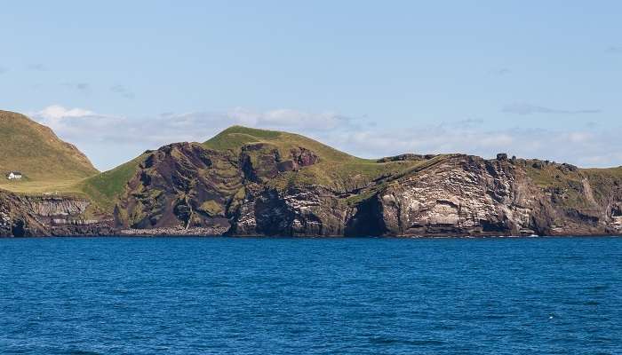 You can see the cutest puffins when you visit the Westman islands in Iceland in July