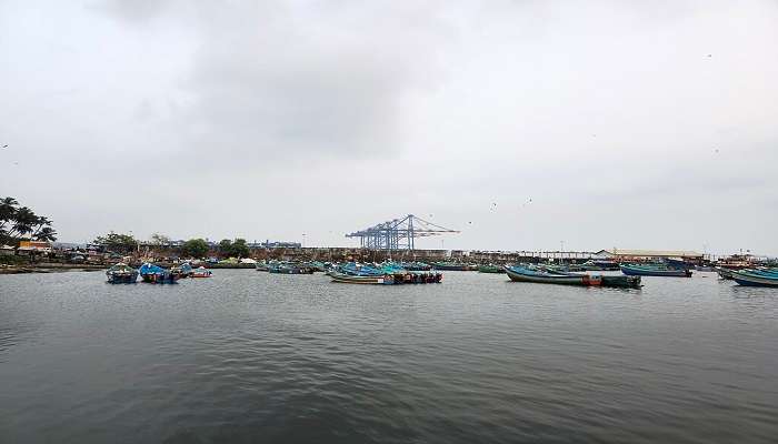 Vizhinjam harbour view