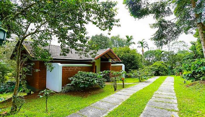 For a Surreal Feel-Good