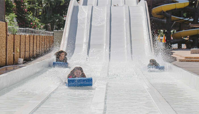 Kids Enjoying Slides Into a Pool