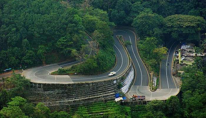 Tea gardens in Wayanad, Kerala, is one of the Honeymoon Places In Kerala