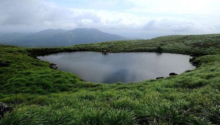 Experience the Wayanad landscape beauty- which is among the memorable things to do in Kerala.