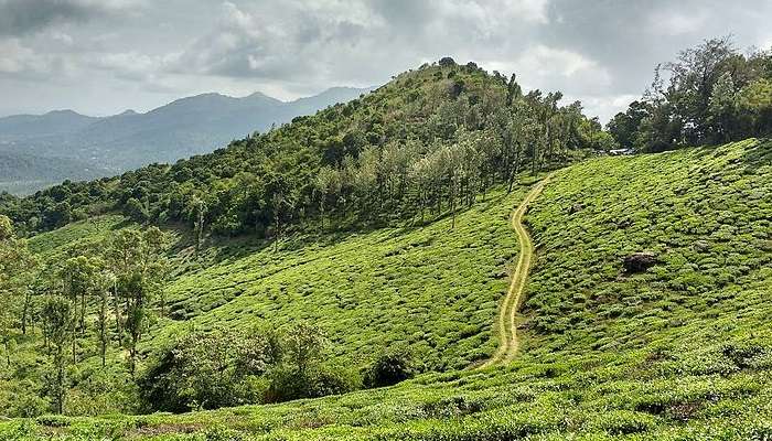 Wayanad, places to visit in winter in India