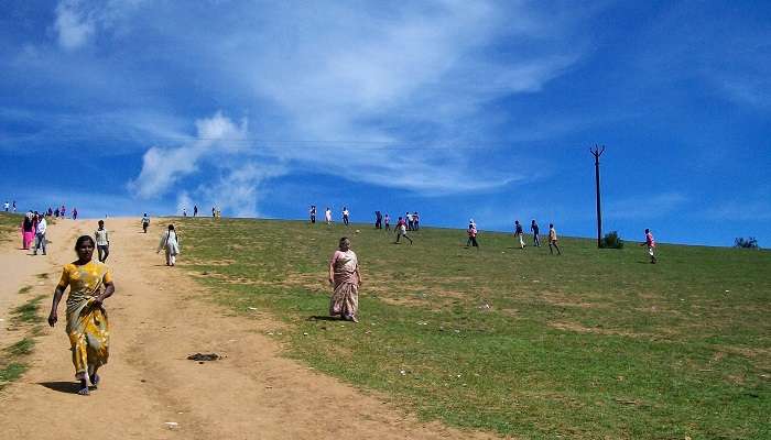 Wenlock Downs, places to visit in Ooty