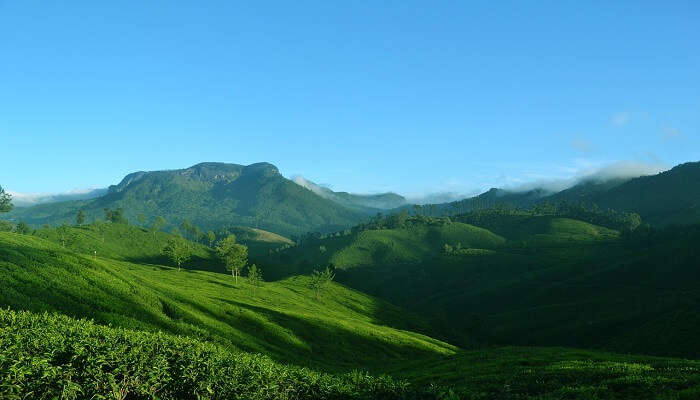Farm tourism and mild adventure activities in Munnar