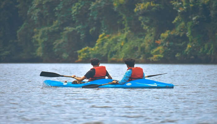 Two men kayaking in the backwaters of Kerala, enjoying the lush greenery of the state.
