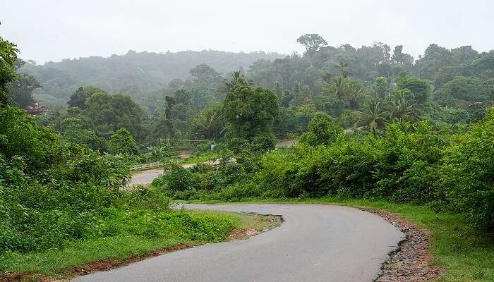 visit Kerala during monsoon season.