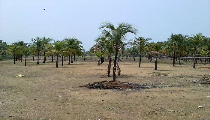 Chavakkad Beach view