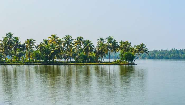 Palm tree island in Kerala