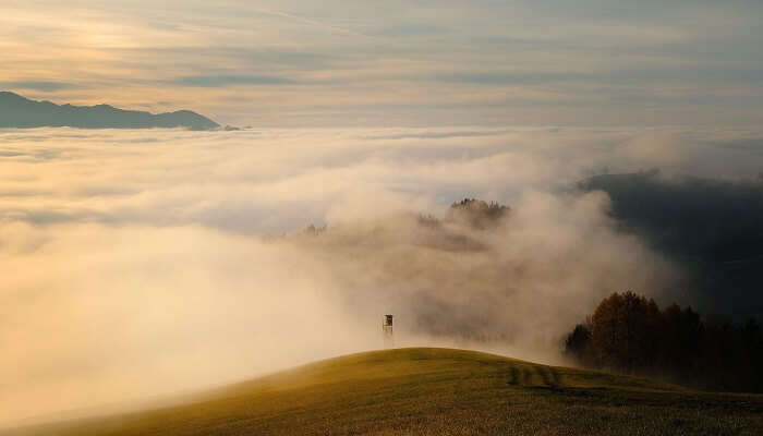 scenic view of misty hills during winter in Kerala