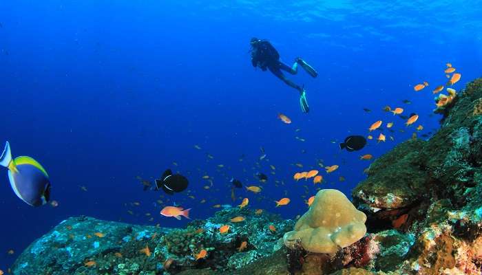 Scuba diving in Malaysia 