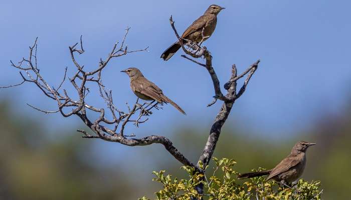 Worlds of Birds one of the best places to visit near South Africa