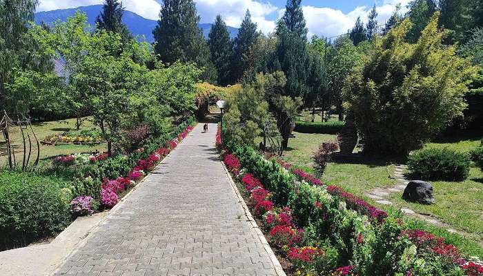 Explore the flora and fauna in Thimphu in January