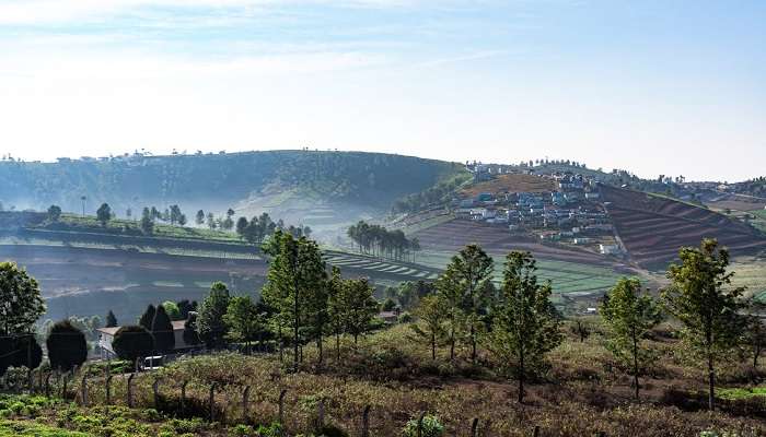 Ooty - places to visit in India during Christmas