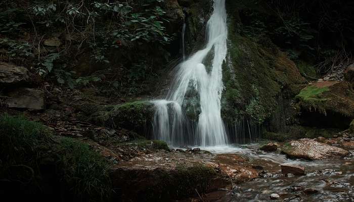 Visit this waterfall in Trivandrum 