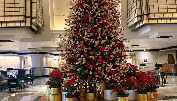 Hyatt Regency, christmas celebration in delhi