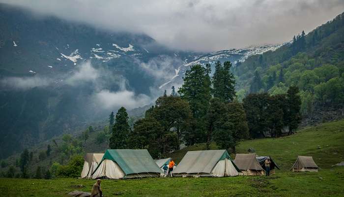 Camp wild dhauj, places to visit near Delhi