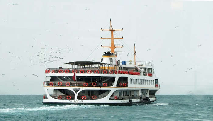 Depending on the season, there are usually 23 daily and 152 weekly sailings