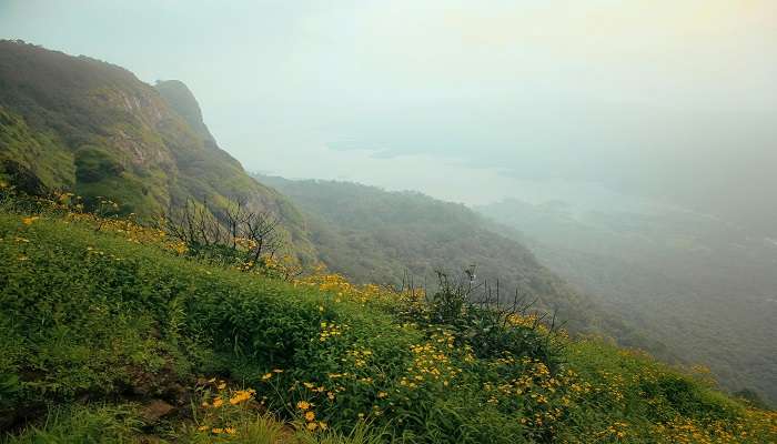 If you are wondering what are the things to see in Matheran then let us help you.