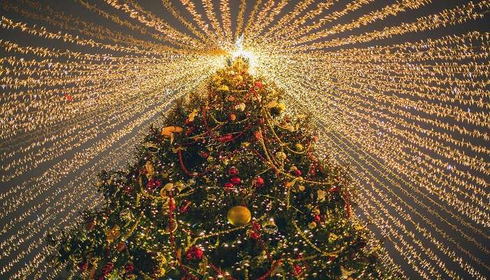 Celebrate Christmas In Saint Petersburg