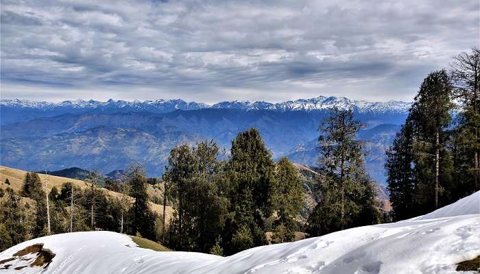 Snowfall in shimla