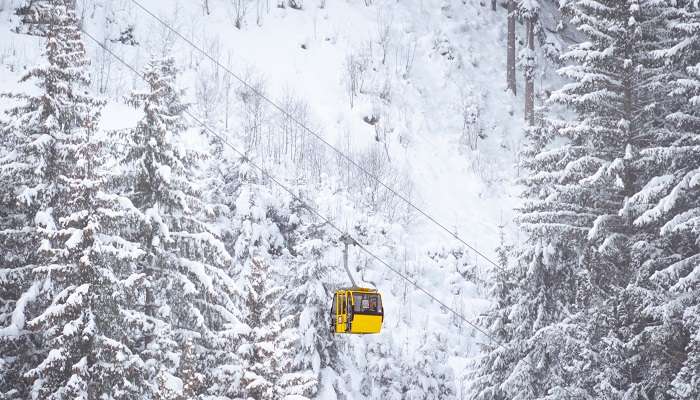 Savor a Visual Treat with Gondola Rides