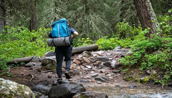 Things to do in Munnar- Trek at Echo Point 