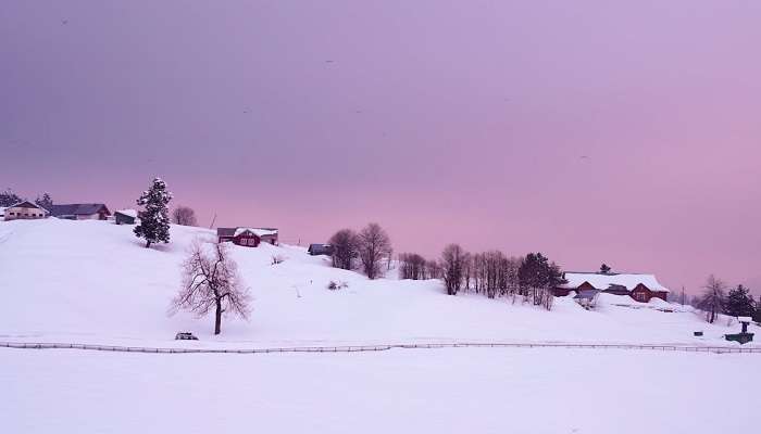 Gulmarg - places to visit in India during Christmas