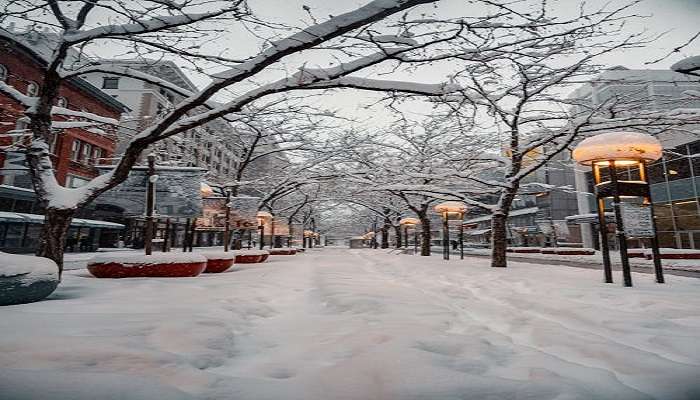 A winter street showing snowfall in moscow