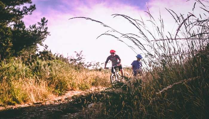 Things to do in Munnar- Mountain Biking