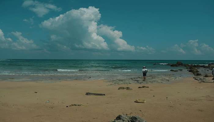 A Person Standing on the Beach