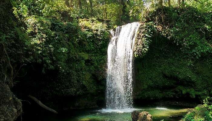 picnic by corbett falls, among Things To Do In Jim Corbett