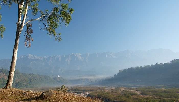 Shoghi, places to visit near Delhi