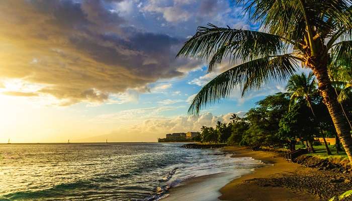 Hawaii Sunset in Maui